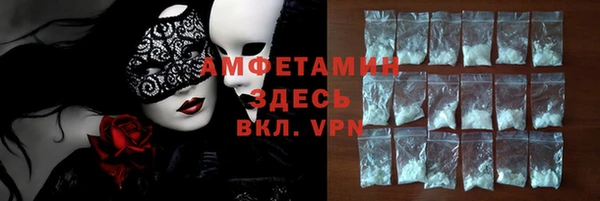СК Алексин