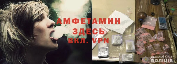 шишки Алексеевка