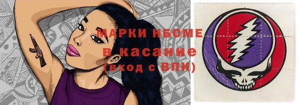 СК Алексин
