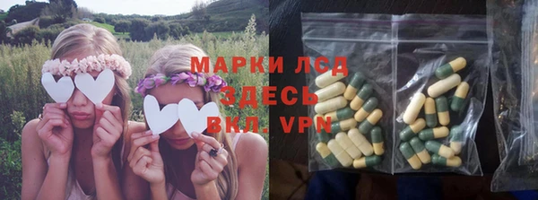 СК Алексин